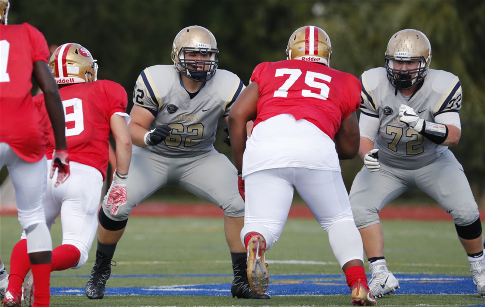 Canisius 55, St. Francis 13